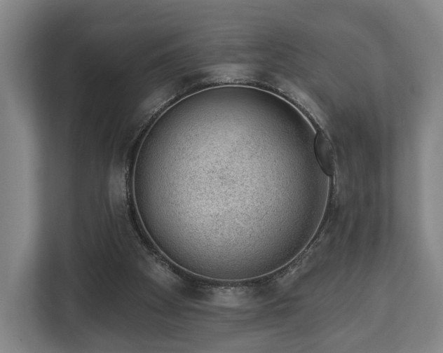 X0000112740105200908271529