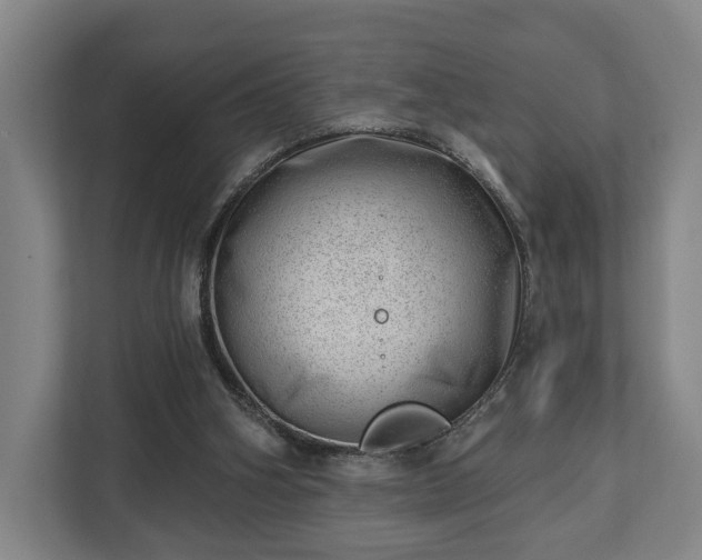 X0000112740106200908271529