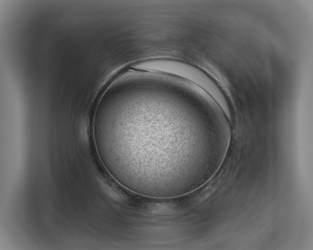 X0000112740107200908271529