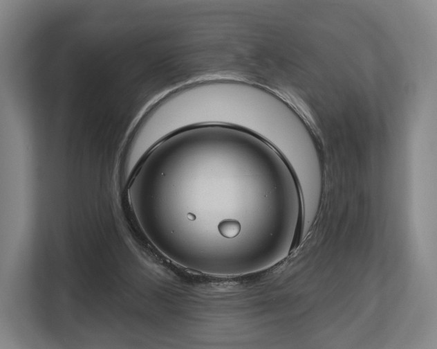 X0000112740108200908271529