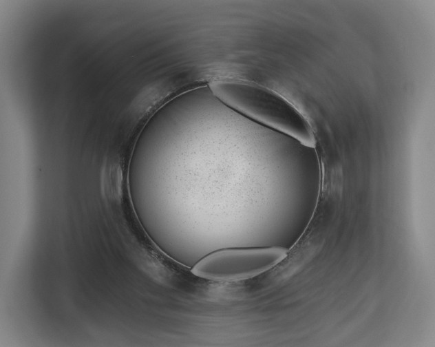 X0000112740109200908271529