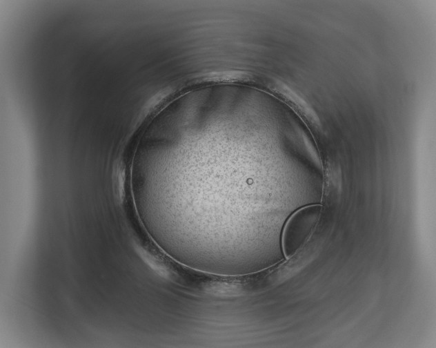 X0000112740110200908271529