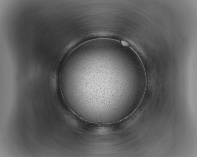 X0000112740111200908271529