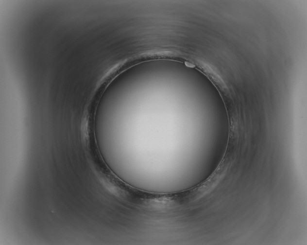 X0000112740112200908271529