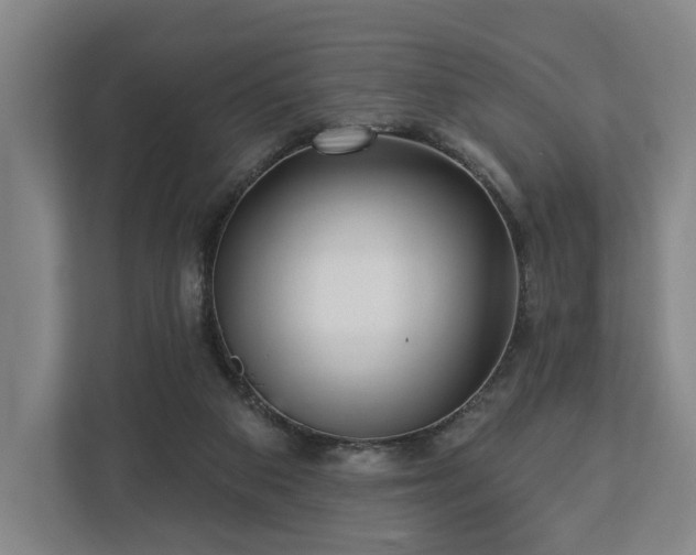 X0000112740113200908271529