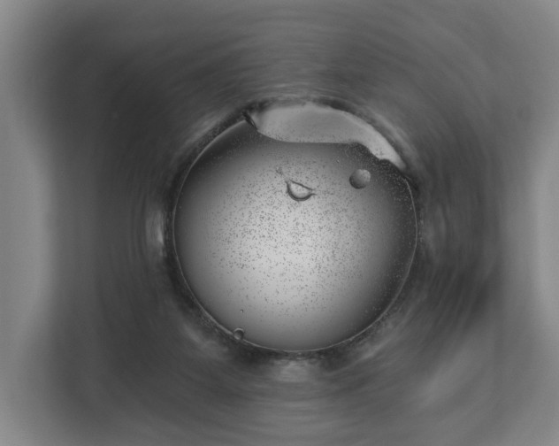 X0000112740115200908271529