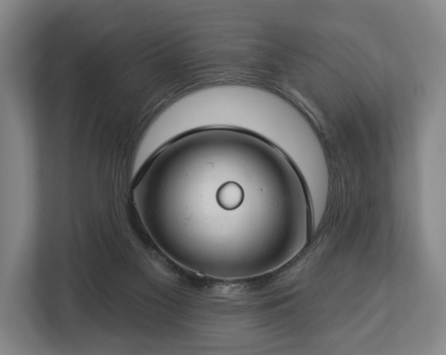 X0000112740117200908271529