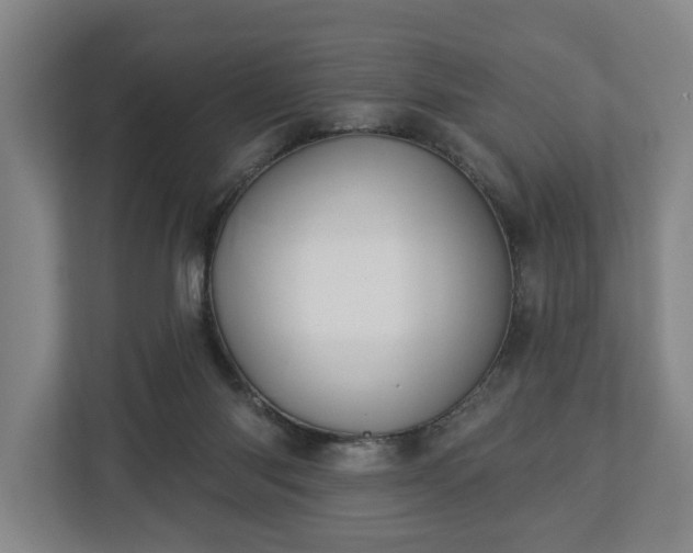 X0000112740118200908271529