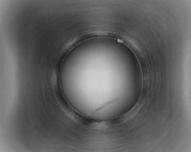 X0000112740120200908271529