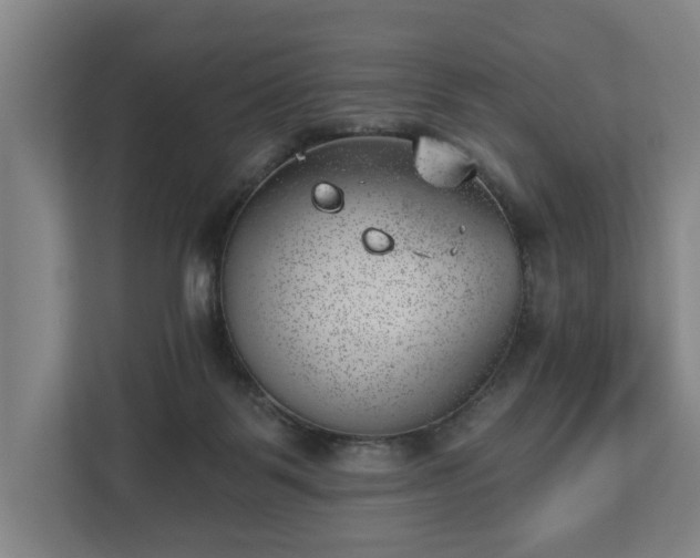 X0000112740123200908271529