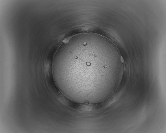 X0000112740127200908271529