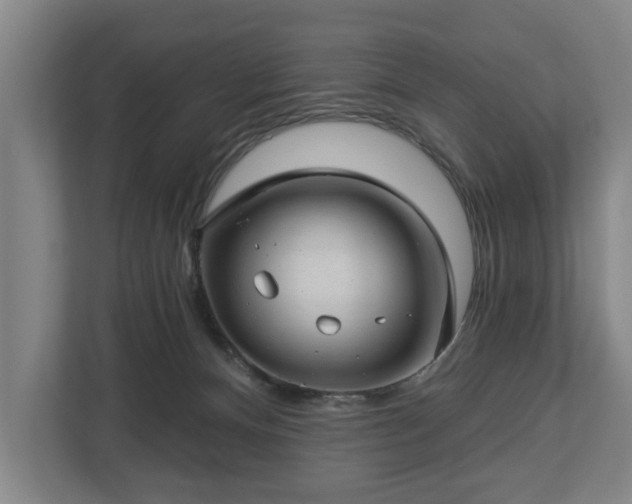 X0000112740128200908271529