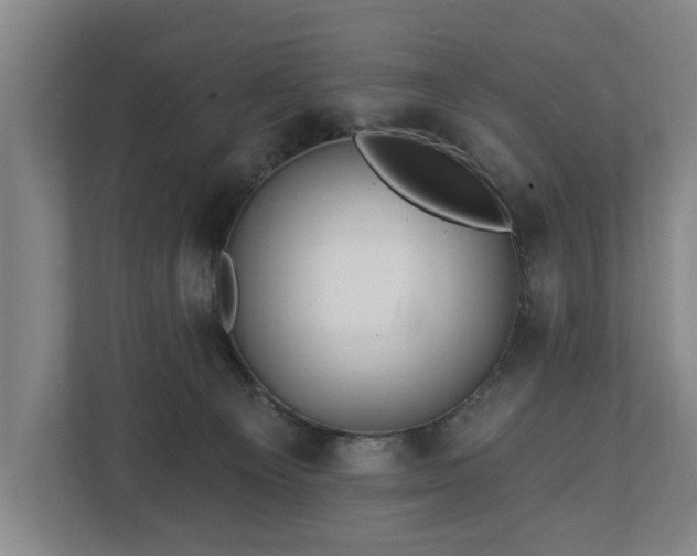 X0000112740129200908271529