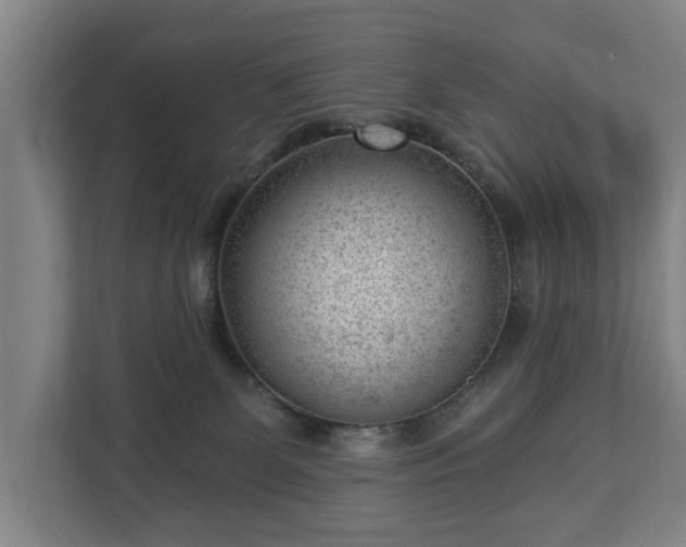 X0000112740131200908271529