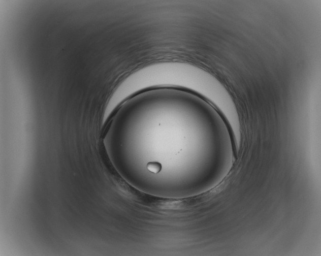 X0000112740132200908271529