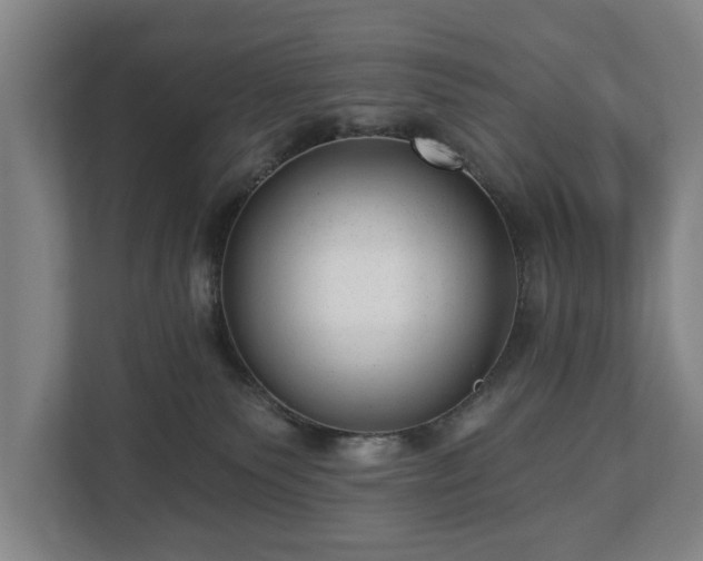 X0000112740135200908271529