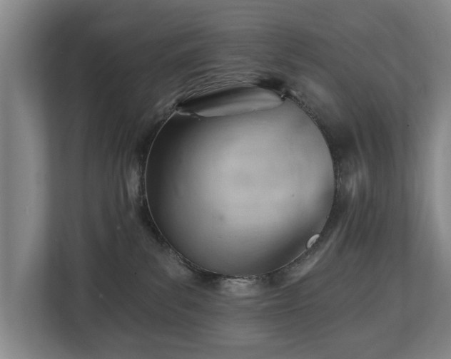 X0000112740139200908271529