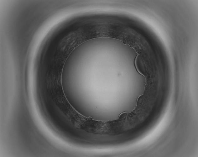 X0000112740143200908271529