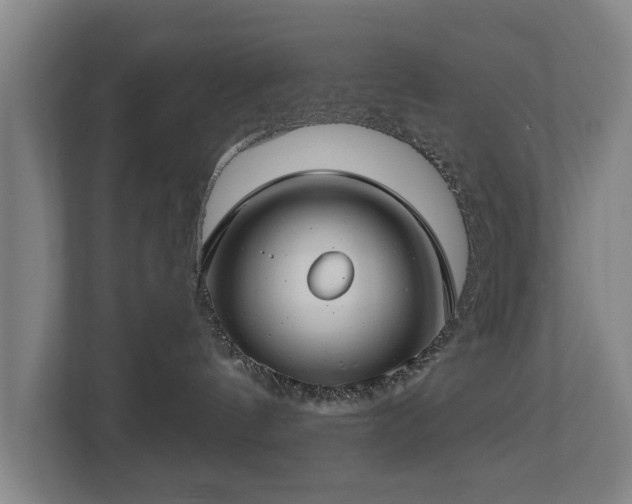 X0000112740144200908271529