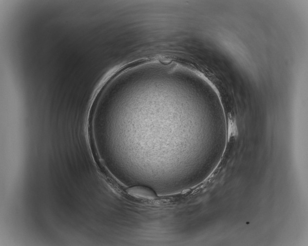 X0000112740147200908271528