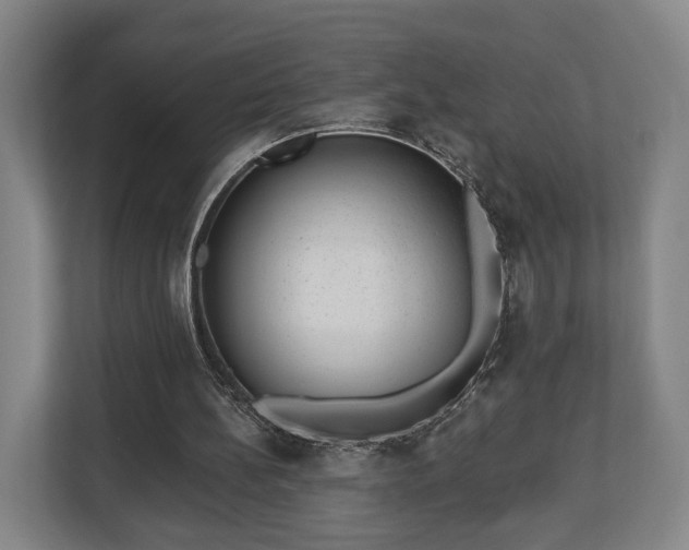 X0000112740148200908271528