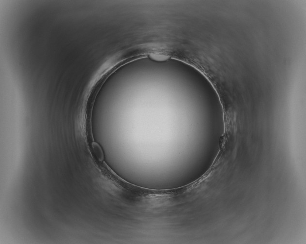 X0000112740150200908271528