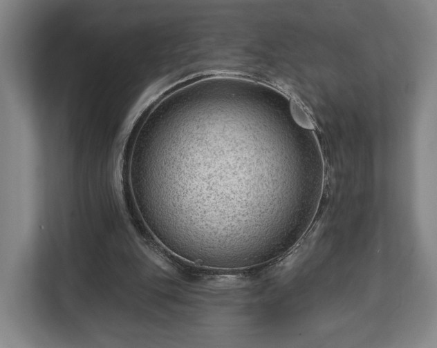 X0000112740151200908271528