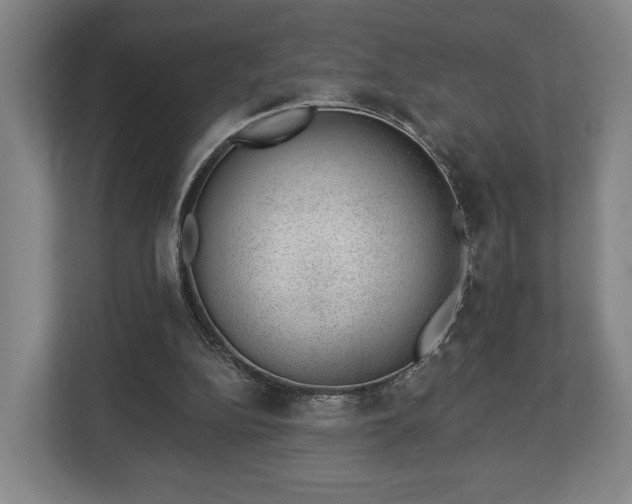 X0000112740152200908271528