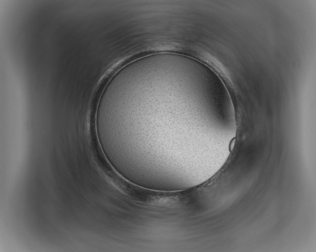 X0000112740155200908271528