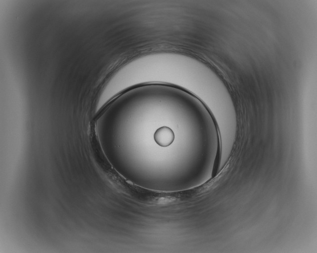 X0000112740158200908271528