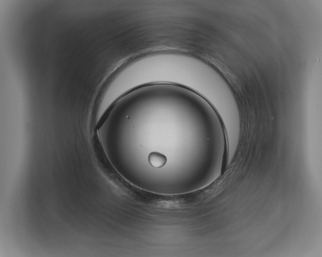 X0000112740160200908271528