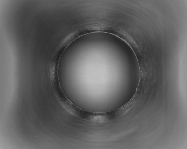 X0000112740163200908271529