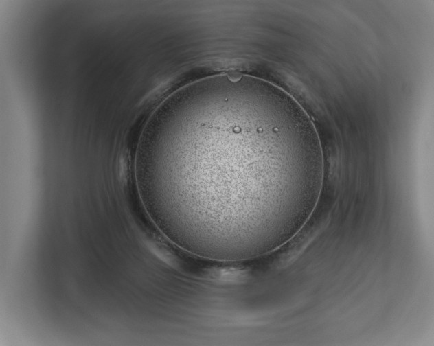 X0000112740165200908271529