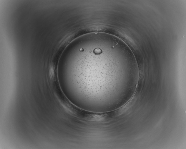 X0000112740166200908271529