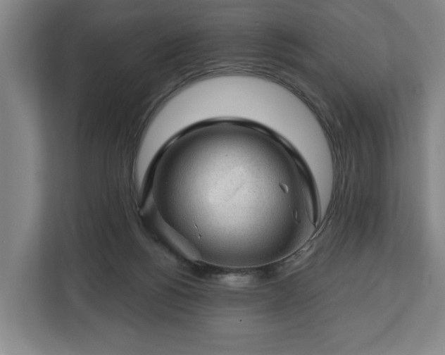 X0000112740168200908271529