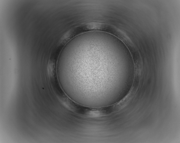 X0000112740171200908271529