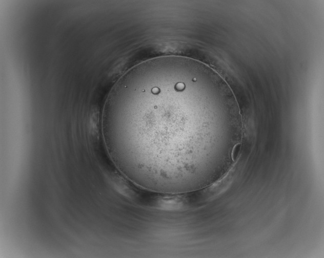 X0000112740175200908271529