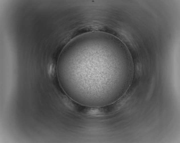 X0000112740177200908271529