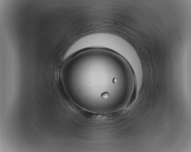 X0000112740180200908271529