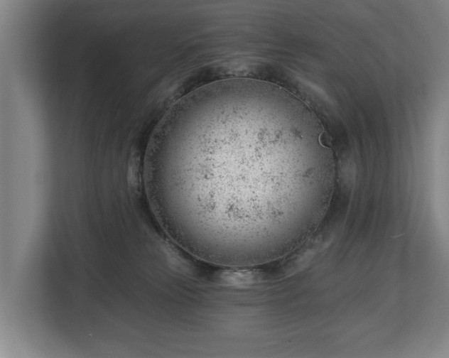 X0000112740181200908271529