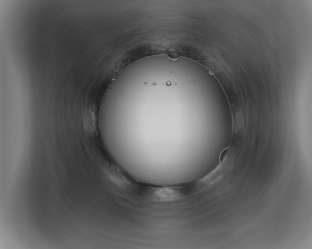 X0000112740183200908271529