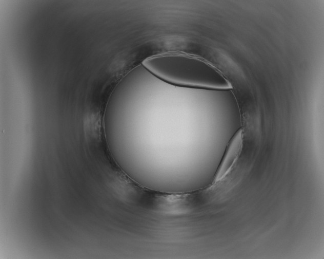 X0000112740184200908271529