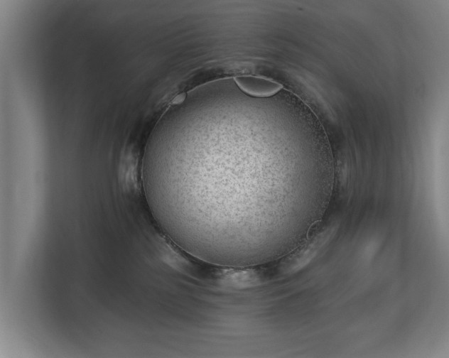 X0000112740185200908271529