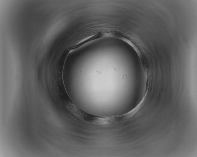 X0000112740190200908271529