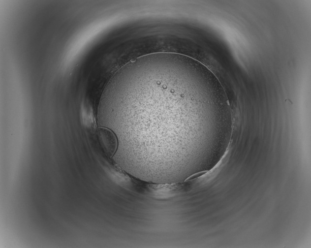 X0000112740191200908271529