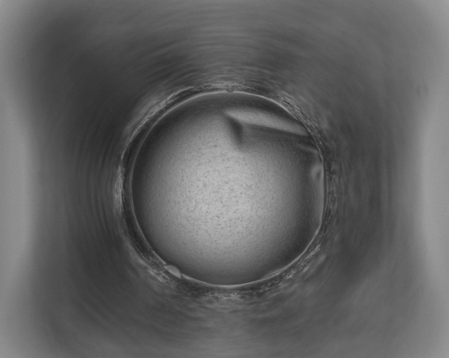 X0000112740194200908271528