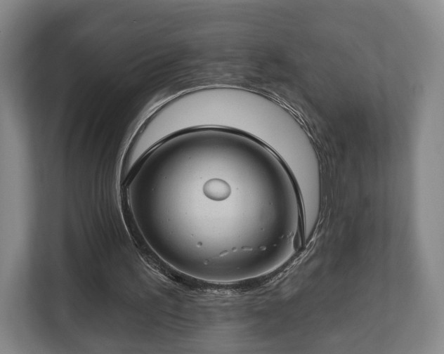 X0000112740195200908271528