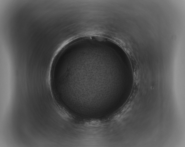 X0000112740196200908271528