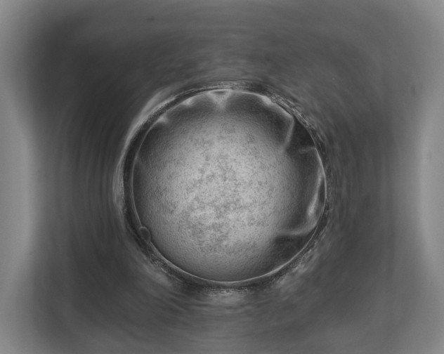 X0000112740198200908271528