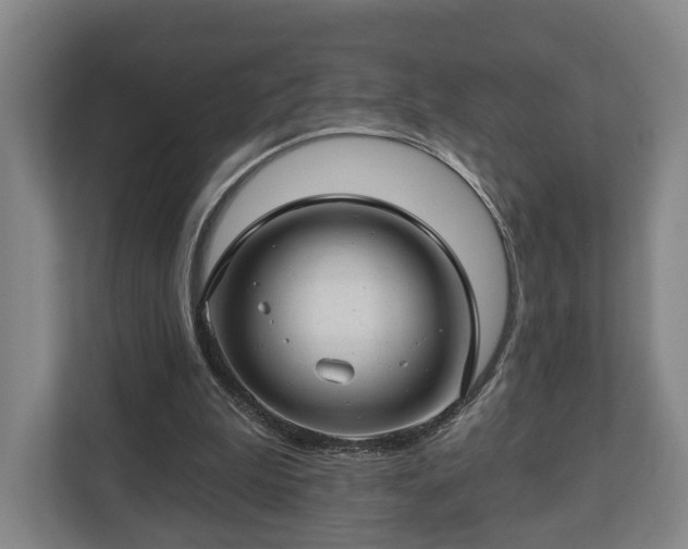 X0000112740199200908271528